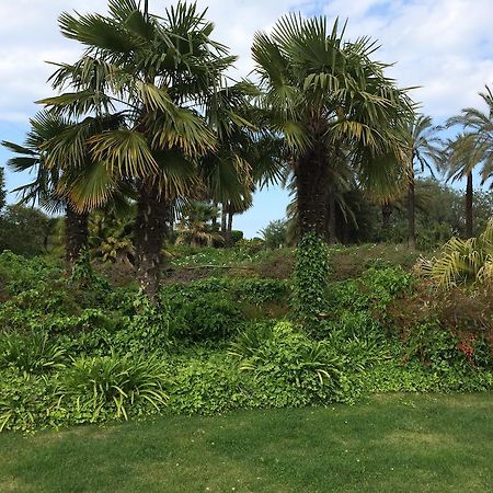 Seven Maze Charming House Bed and Breakfast Bari Exteriör bild