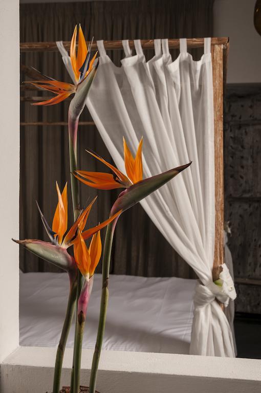 Seven Maze Charming House Bed and Breakfast Bari Rum bild