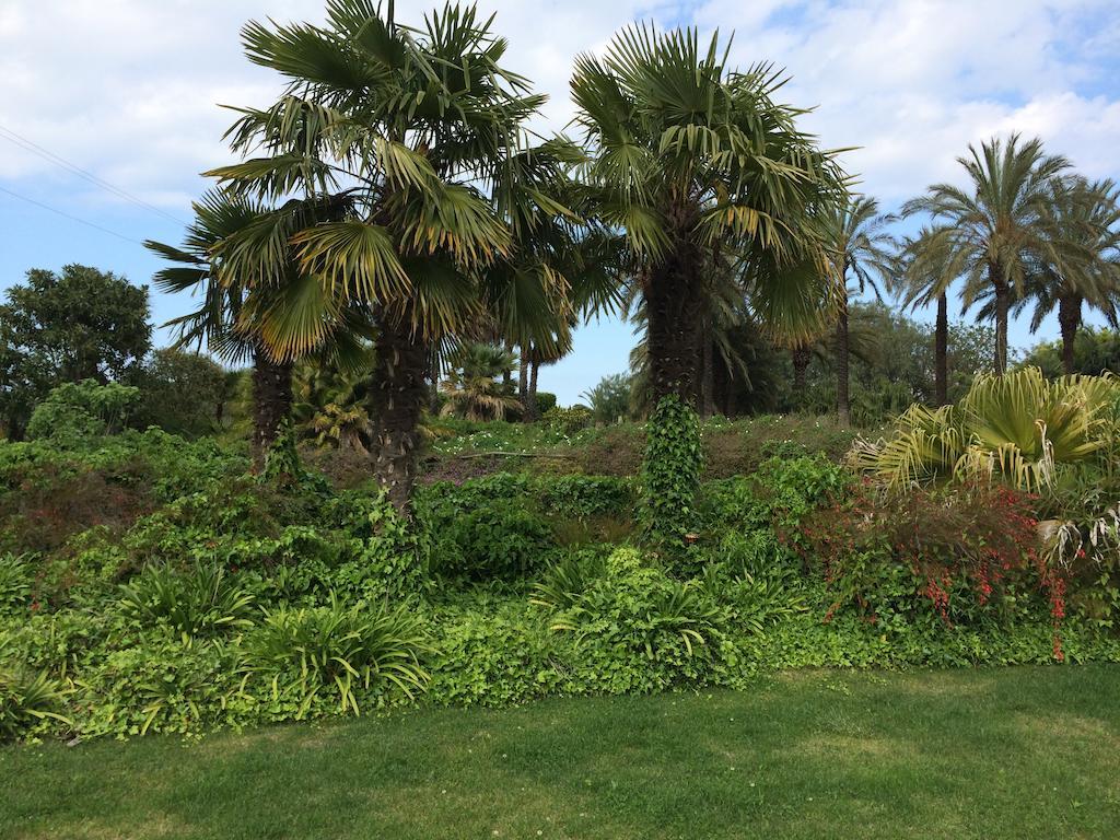 Seven Maze Charming House Bed and Breakfast Bari Exteriör bild